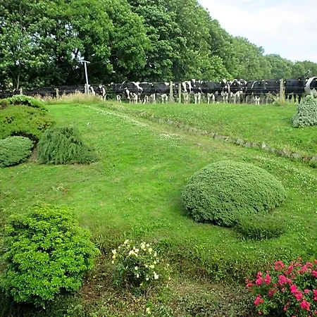 Bed & Breakfast Pk 4*