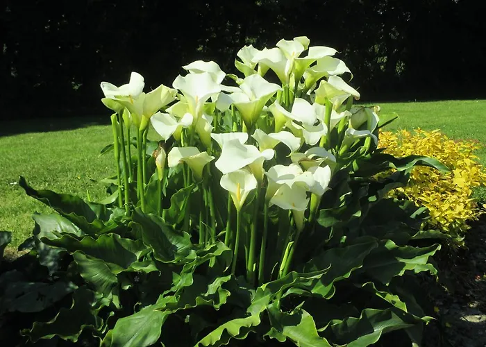 Bed & Breakfast Pk 4*